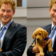 Image for article titled Prince Harry Is Coming Back to America. Kindly Do Not Photograph His Penis This Time.